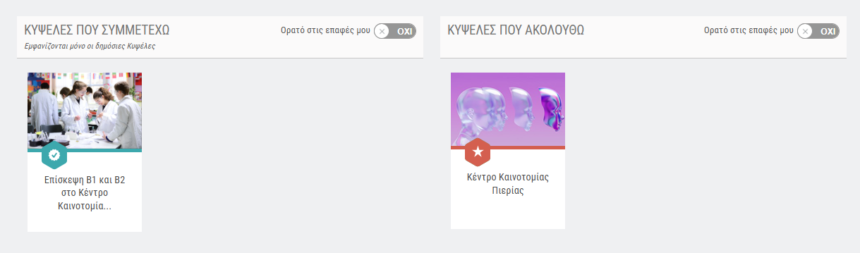Επιλογές εμφάνισης δημοσίων κυψελών στο προφίλ μου