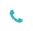 phoneIcon